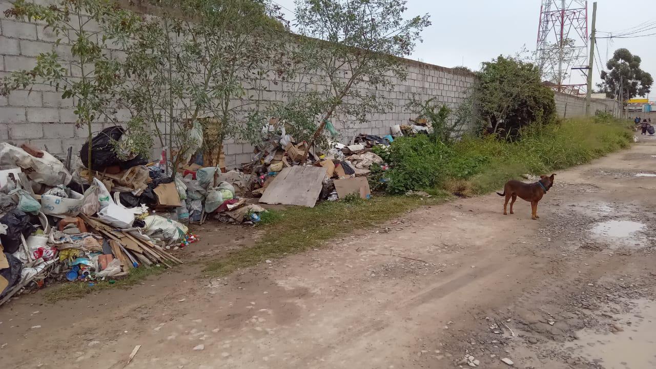 WhatsApp Image 2023-04-26 at 08.13.55