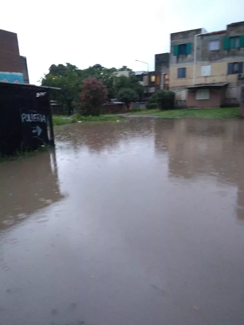 WhatsApp Image 2023-01-23 at 08.01.01