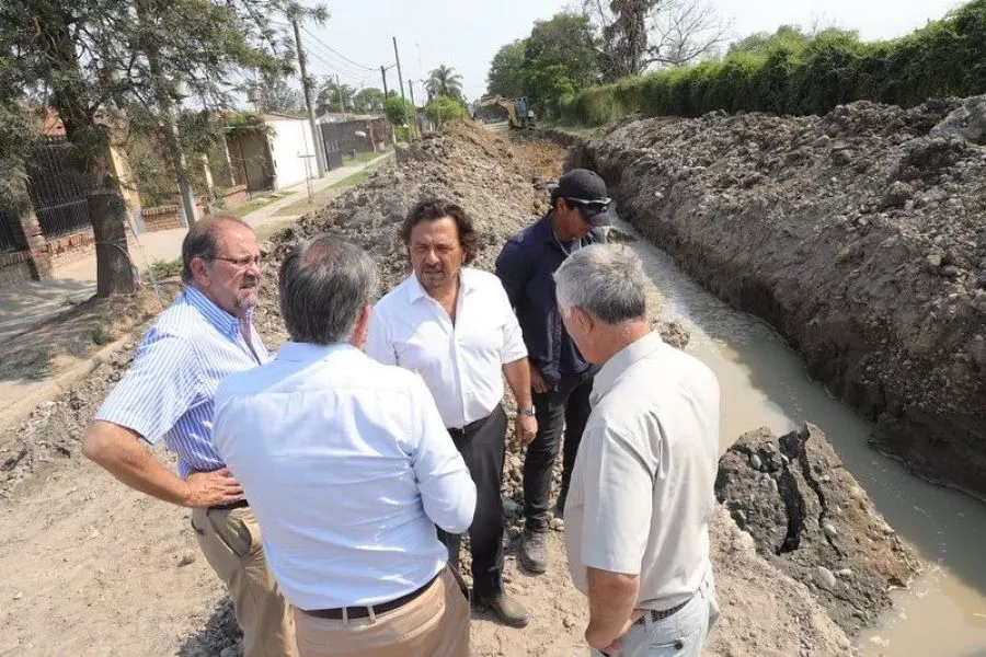 4867-nueva-colectora