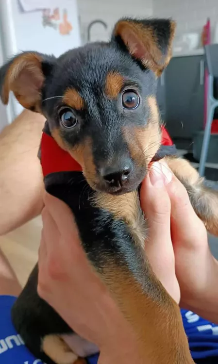 3QBAUWW23BHXXBR7I4GQ7TYS5U