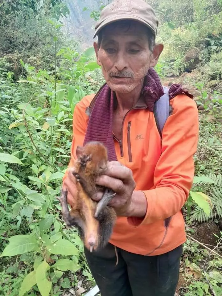 320da9d1-3f4c-44d9-a203-0be1414a411f