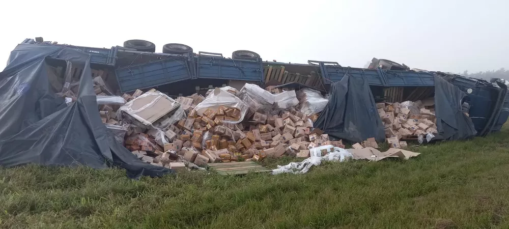 a043ba09-9999-4677-9174-d621429fde6f