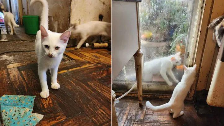 WhatsApp Image 2023-04-13 at 10.44.53 (1)