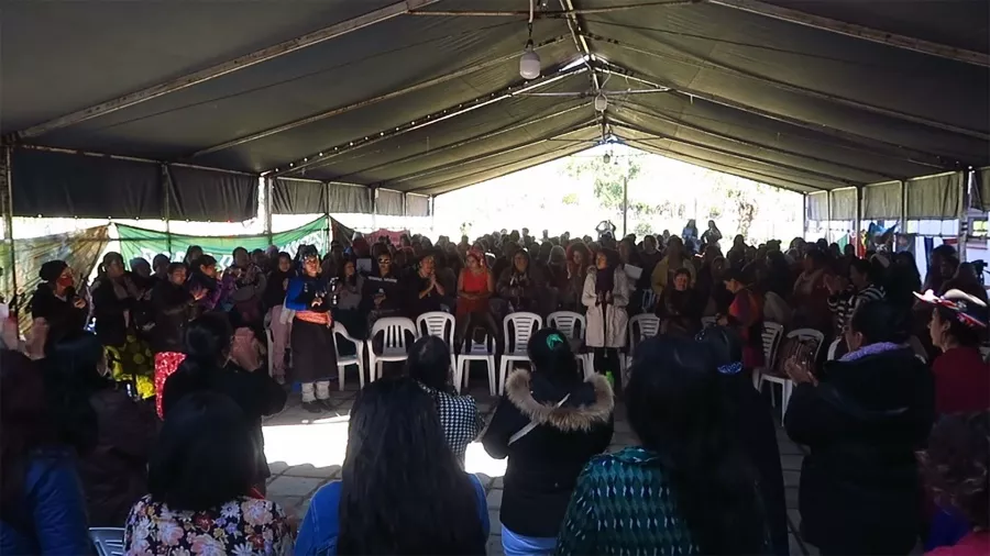 628e9bcb36b90_900 (1)