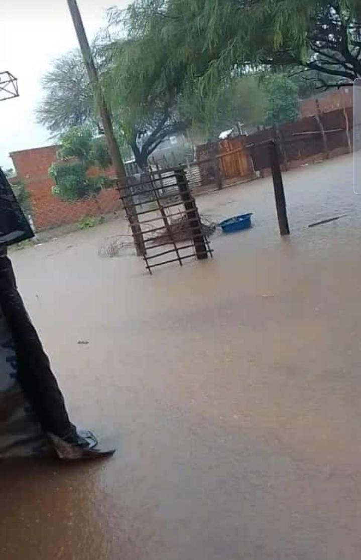 WhatsApp Image 2023-03-27 at 07.38.43