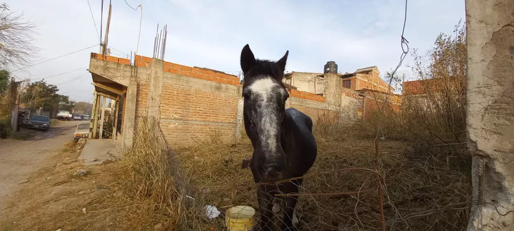 WhatsApp Image 2022-07-27 at 8.40.25 AM (1)