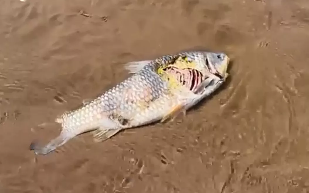 Captura de pantalla 2022-10-27 090840