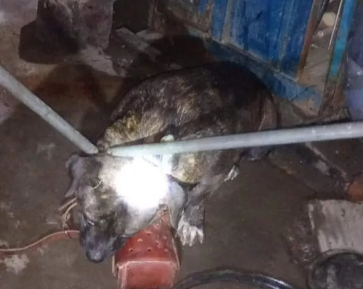 WhatsApp Image 2022-06-05 at 9.16.59 PM