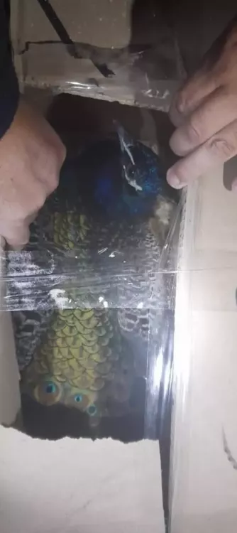 WhatsApp Image 2022-06-06 at 8.45.55 PM