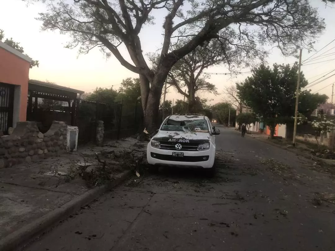 WhatsApp Image 2022-09-19 at 07.29.34