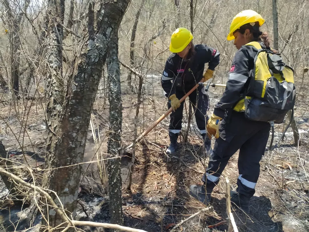 extincion-fuego-cerro-20-de-febrero-12-a