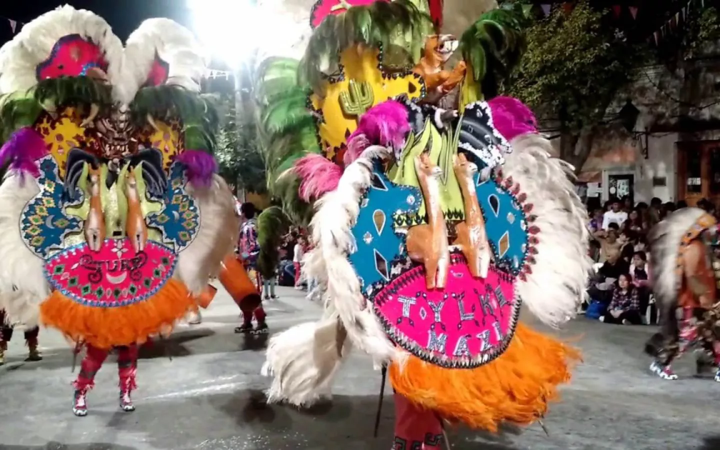 multimedia.grande.85ecd06901d91995.323633305f3134355f6772616e64652e77656270