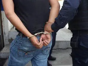 WhatsApp Image 2026-02-11 at 07.09.56