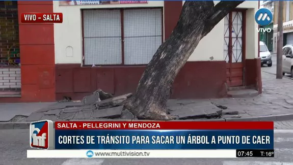 WhatsApp Image 2022-02-09 at 08.59.21