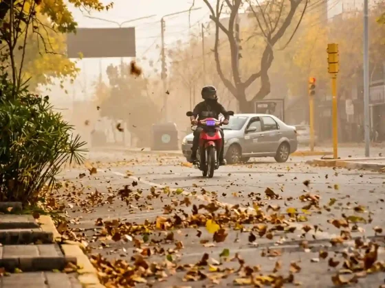 68610-alerta-amarilla-por-viento-zonda-en-salta-las-zonas-afectadas-este-martes (1)