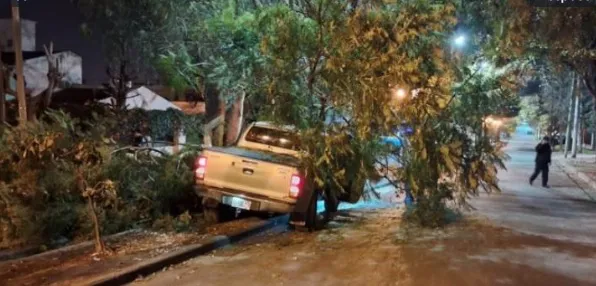 multimedia.miniatura.bea7b9e8573c28b4.bWluaWF0dXJhLndlYnA=