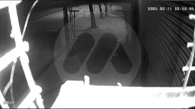 WhatsApp Video 2025-02-11 at 8.22.07 AM