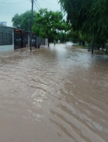 multimedia.miniatura.ae6653841aef2190.bWluaWF0dXJhLndlYnA=