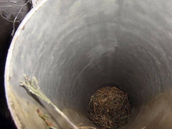 multimedia.miniatura.b017e4d0bd18d306.cMOhamFyb3NfbWluaWF0dXJhLmpwZw==