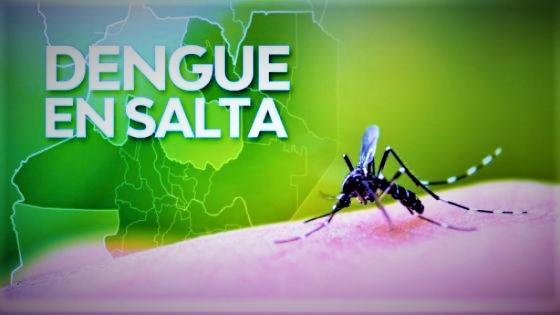88092-hasta-hoy-se-confirmaron-156-casos-de-dengue-en-la-provincia