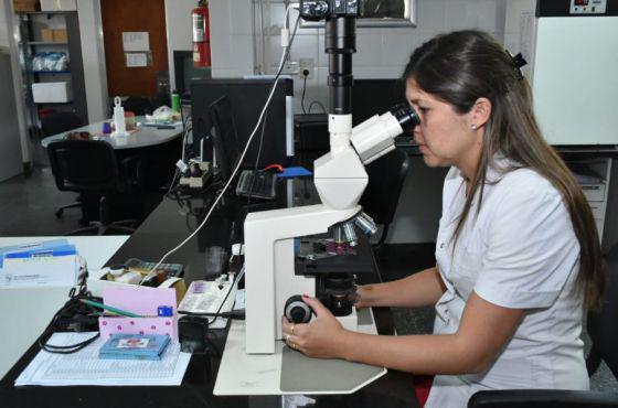 88504-informe-de-la-direccion-general-de-coordinacion-epidemiologica