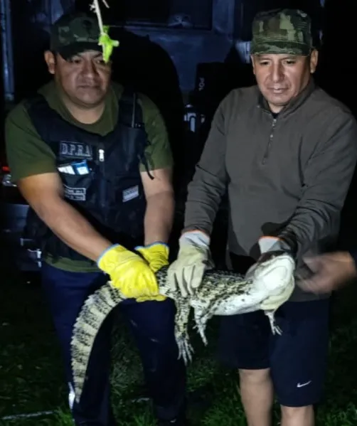 WhatsApp-Image-2026-01-08-at-17.08.24-1