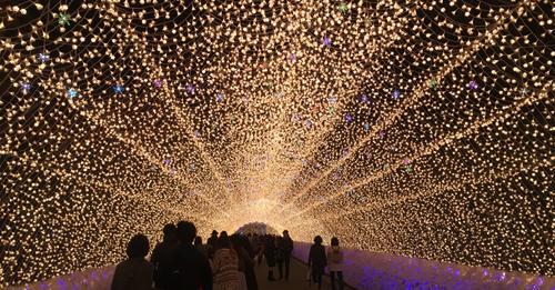 WhatsApp Image 2023-03-30 at 07.59.01