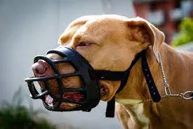 images (9)