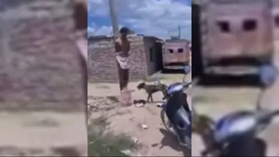 WhatsApp Video 2024-10-22 at 08.13.21