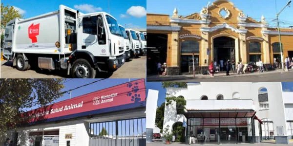 Servicios-Municipales-Portada