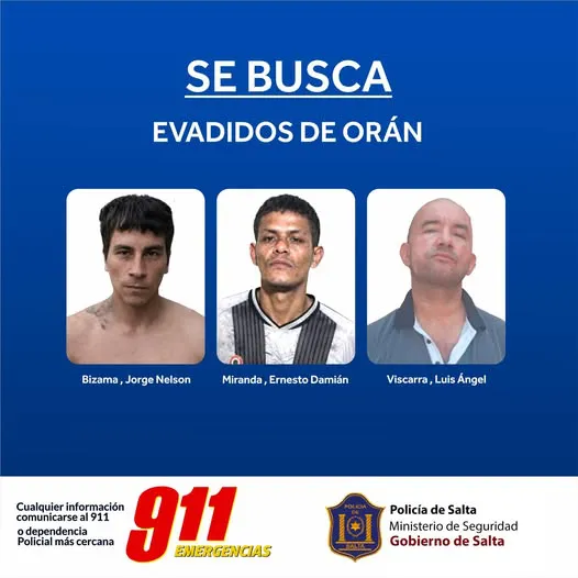 multimedia.miniatura.91c1237956931b83.bWluaWF0dXJhLndlYnA=