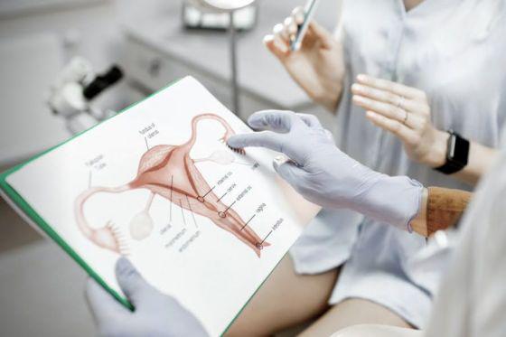 91262-en-el-hpmi-se-dictara-una-jornada-sobre-radioterapia-para-cancer-de-cuello-uterino