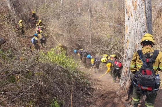86288-salta-y-jujuy-prosiguen-con-los-operativos-de-sofocacion-de-incendios-forestales-en-valle-morado