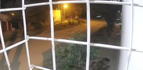 image - 2025-08-07T094029.027