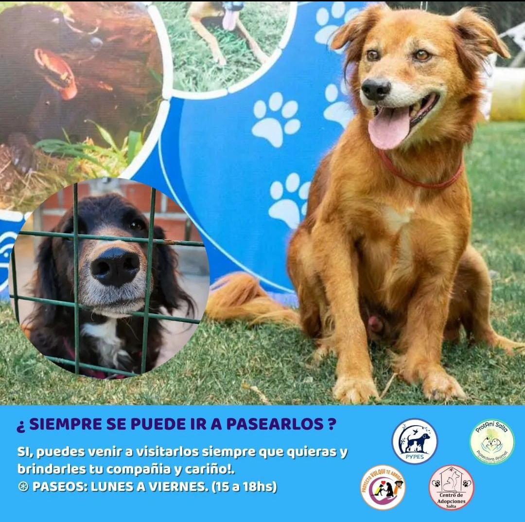 WhatsApp Image 2024-04-29 at 07.50.59