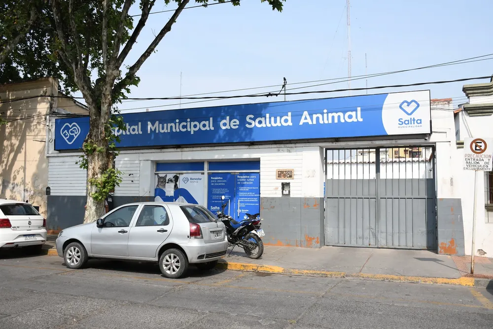 hospital-de-salud-animal-8-2-jpg