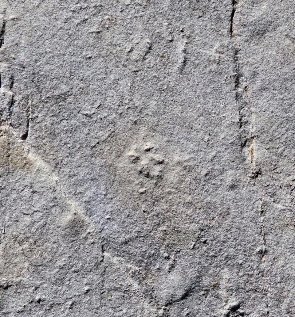 WhatsApp Image 2024-05-03 at 14.32.46