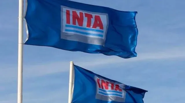 noticia 4 inta