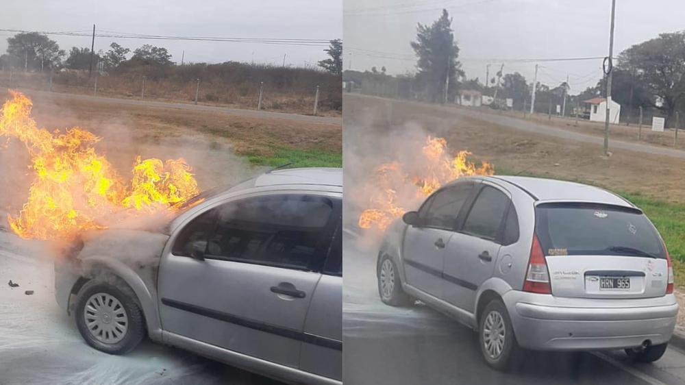 WhatsApp Image 2023-08-25 at 09.25.14