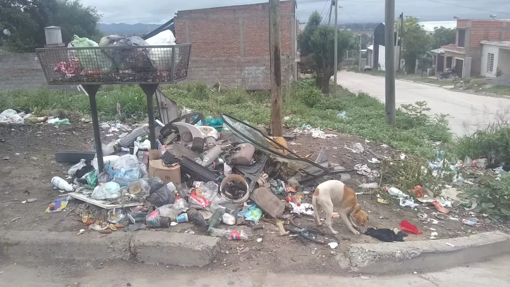 WhatsApp Image 2022-12-29 at 09.24.35