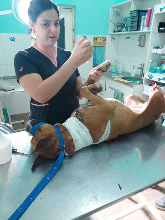 WhatsApp Image 2024-01-08 at 07.28.19