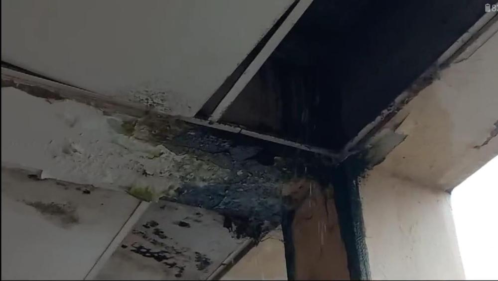 WhatsApp Image 2024-04-10 at 10.40.18