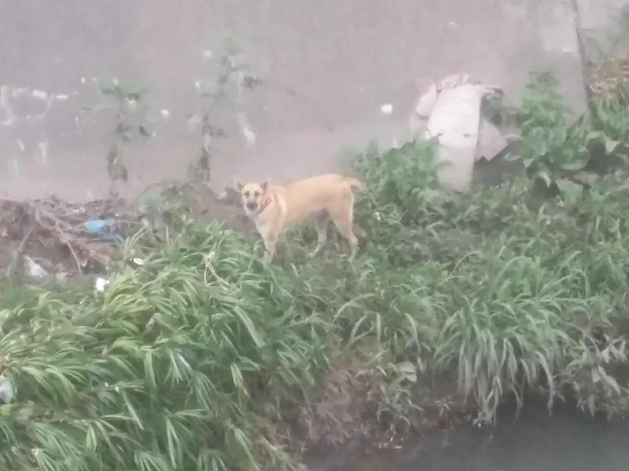 WhatsApp Image 2023-02-07 at 08.43.36