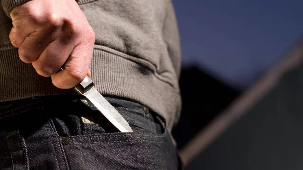 WhatsApp Image 2024-09-10 at 9.14.47 AM