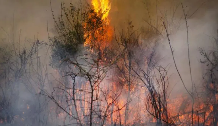 noticia 3 incendios en salta