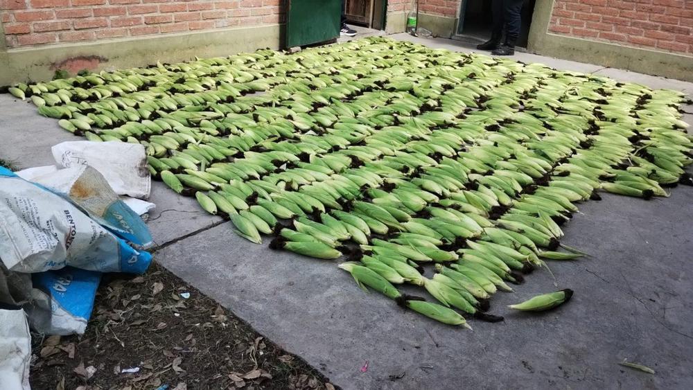 WhatsApp-Image-2024-03-29-at-2.30.23-PM-1536x864