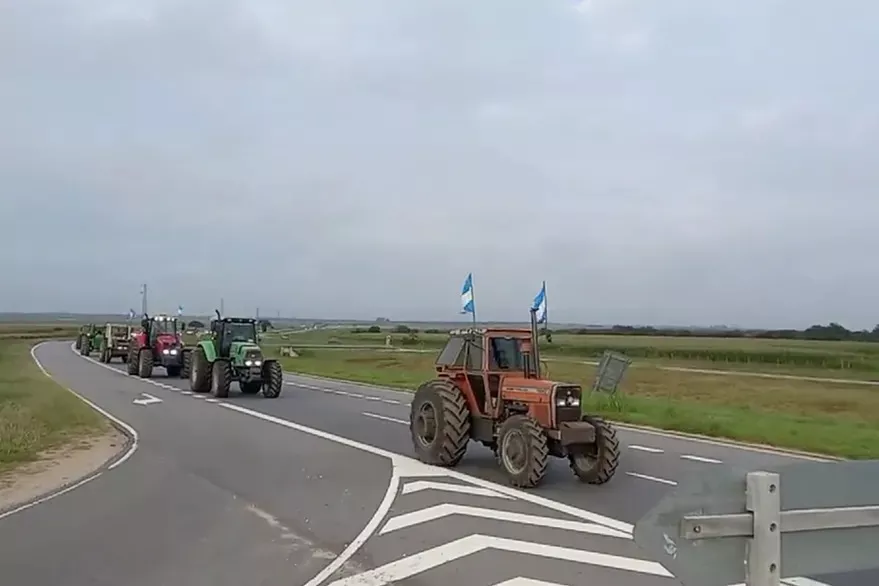 WhatsApp Image 2022-03-22 at 12.04.39