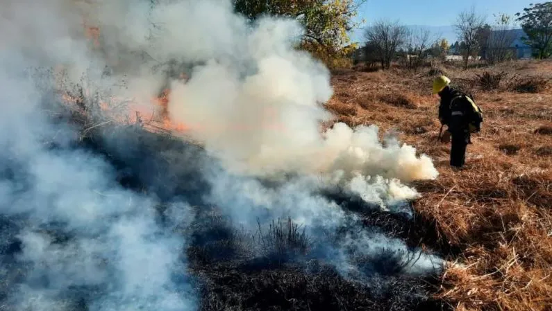 noticia 4 salta incendioos