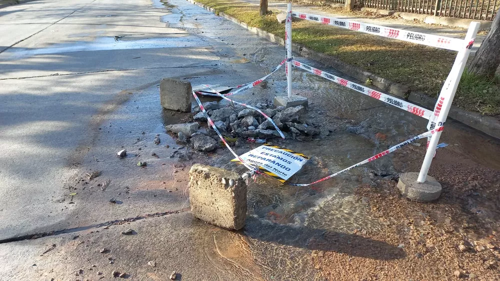 WhatsApp Image 2022-08-16 at 9.32.55 AM