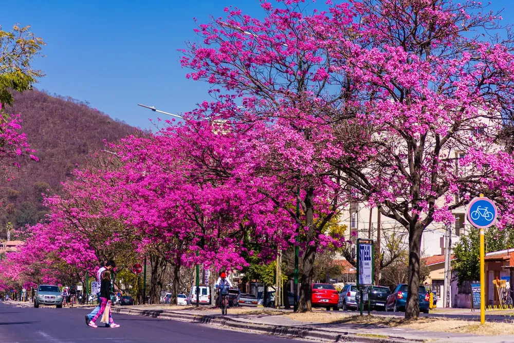 69274801_10156216200766020_7895665618366496768_n